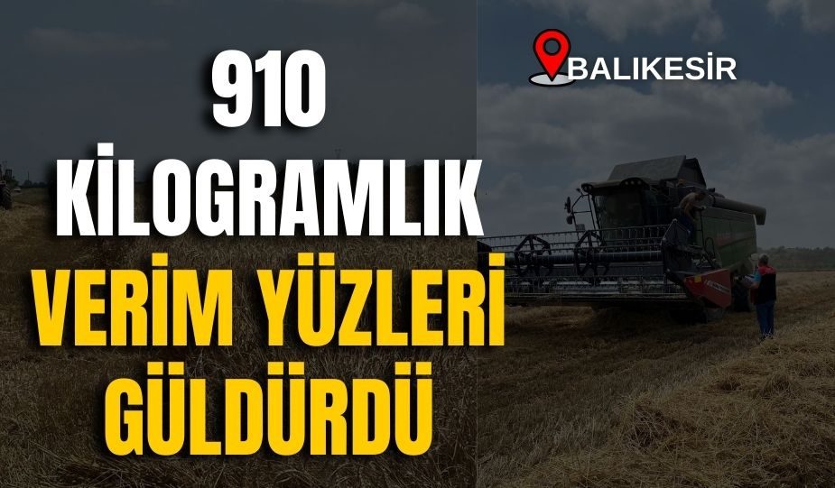 BALIKESİR’DE 910 KİLOGRAMLIK VERİM YÜZLERİ GÜLDÜRDÜ!