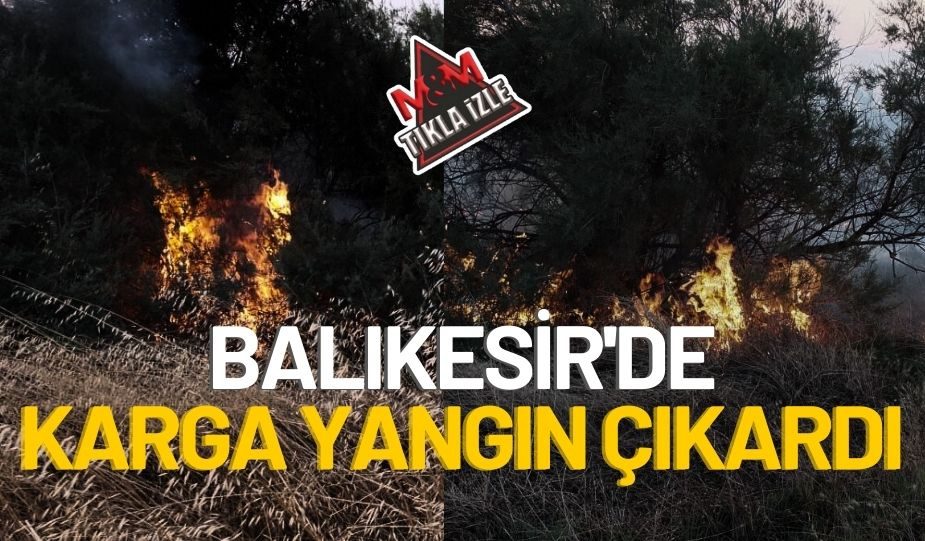 BALIKESİR’DE KARGA YANGIN ÇIKARDI