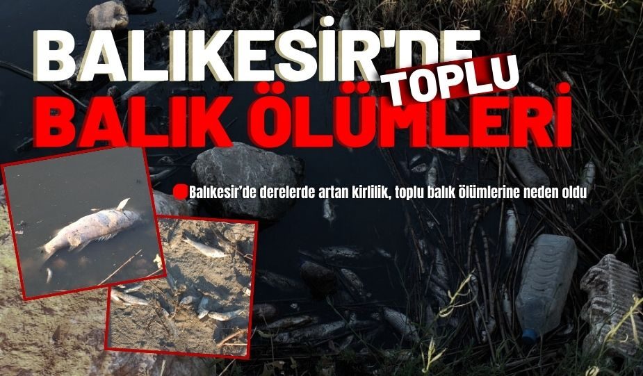 Editör Hakkında Yeni Gazetem