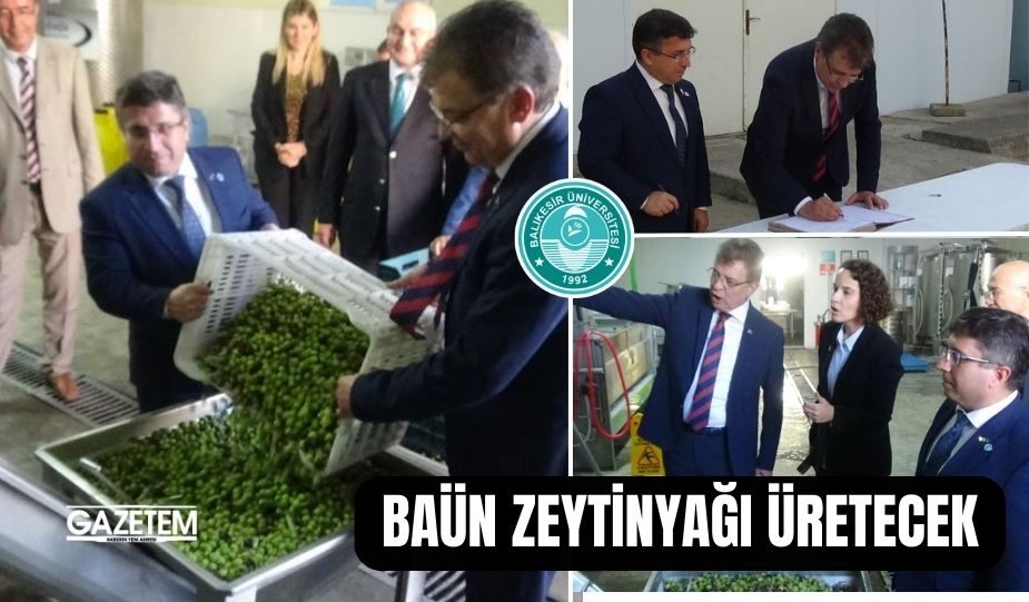 BALIKESİR ÜNİVERSİTESİ ZEYTİNYAĞI ÜRETECEK