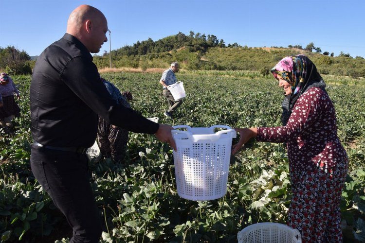 Manisa Büyükşehir Belediyesi tarafından