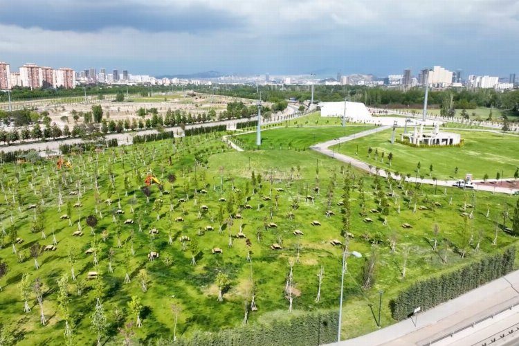 Ankara Büyükşehir Belediyesi, Ulu