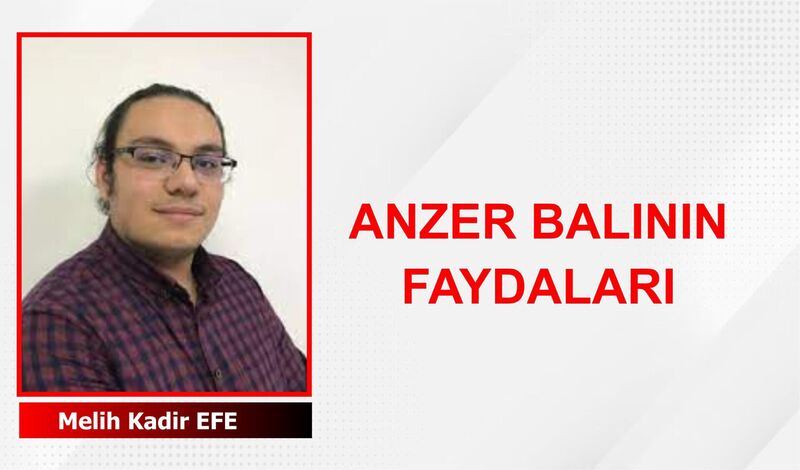 Bağışıklık Sisteminin Mucizevi Destekçisi: Anzer Balı