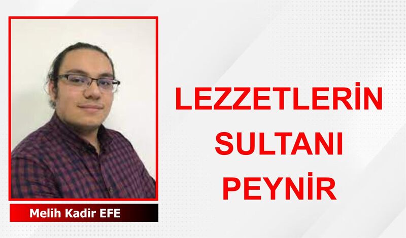 PEYNİR: LEZZETLERİN SULTANI