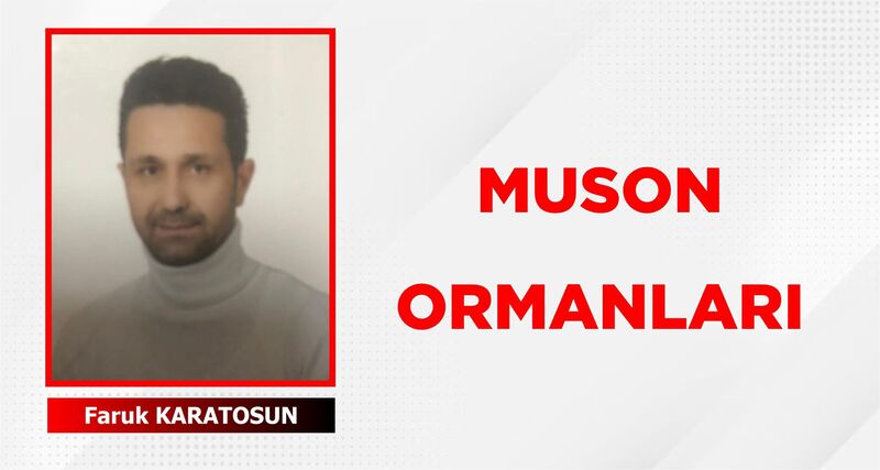 MUSON ORMANLARI