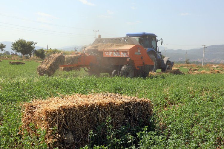 Muğla Büyükşehir Belediyesi 434