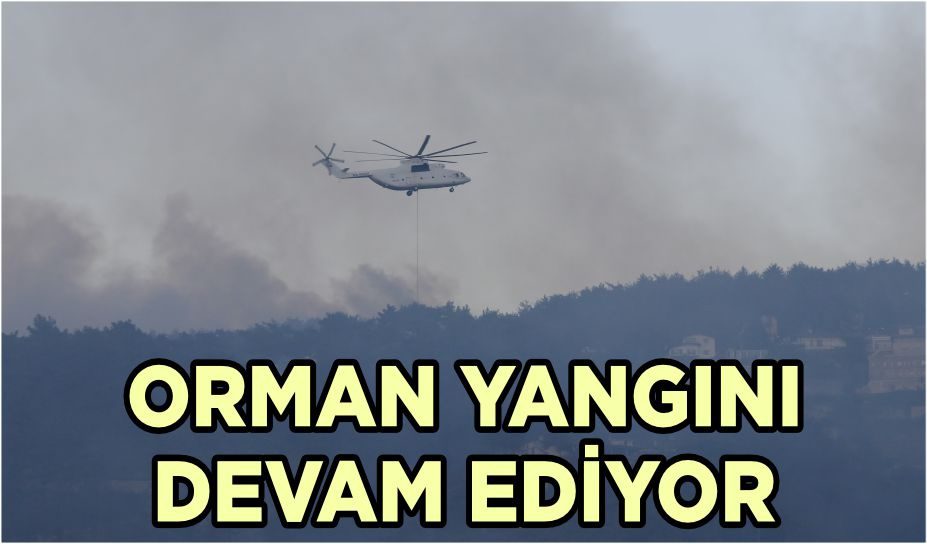 ORMAN YANGINI DEVAM EDİYOR