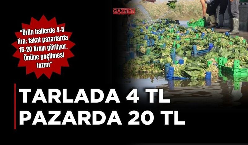 ISPANAK TARLADA 4 TL PAZARDA 20 TL