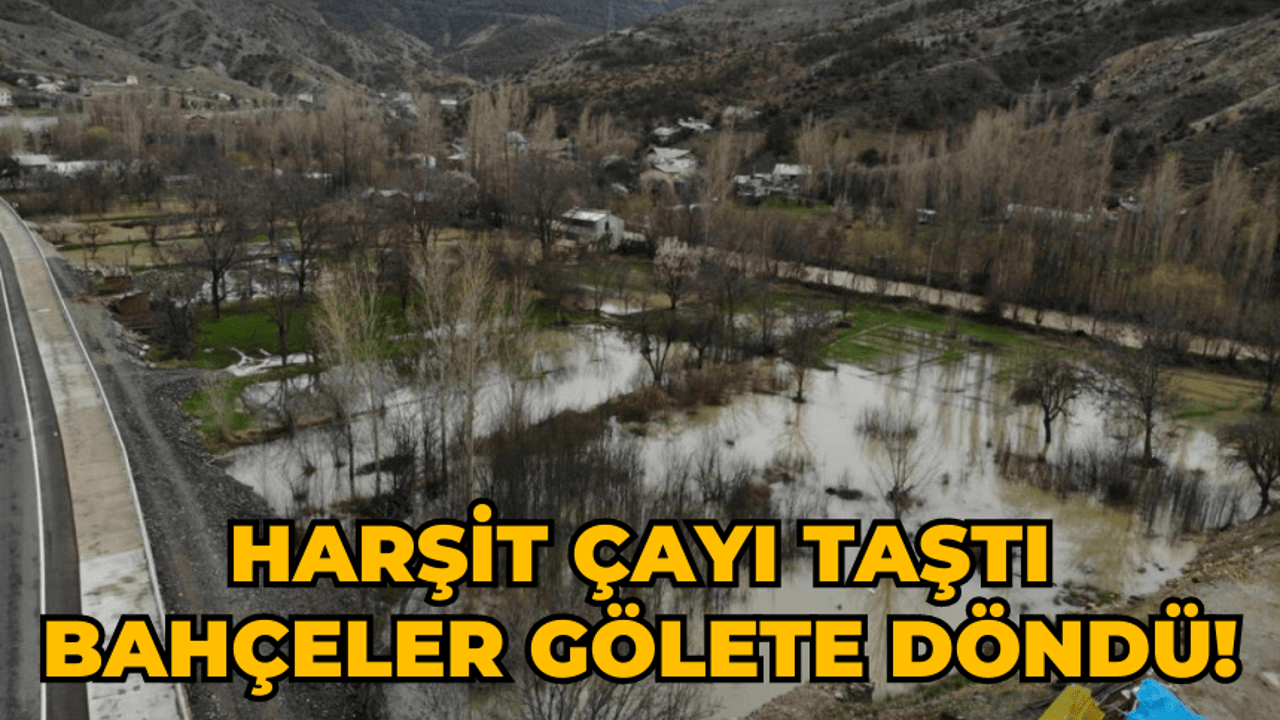 Harşit Çayı taştı bahçeler gölete döndü!