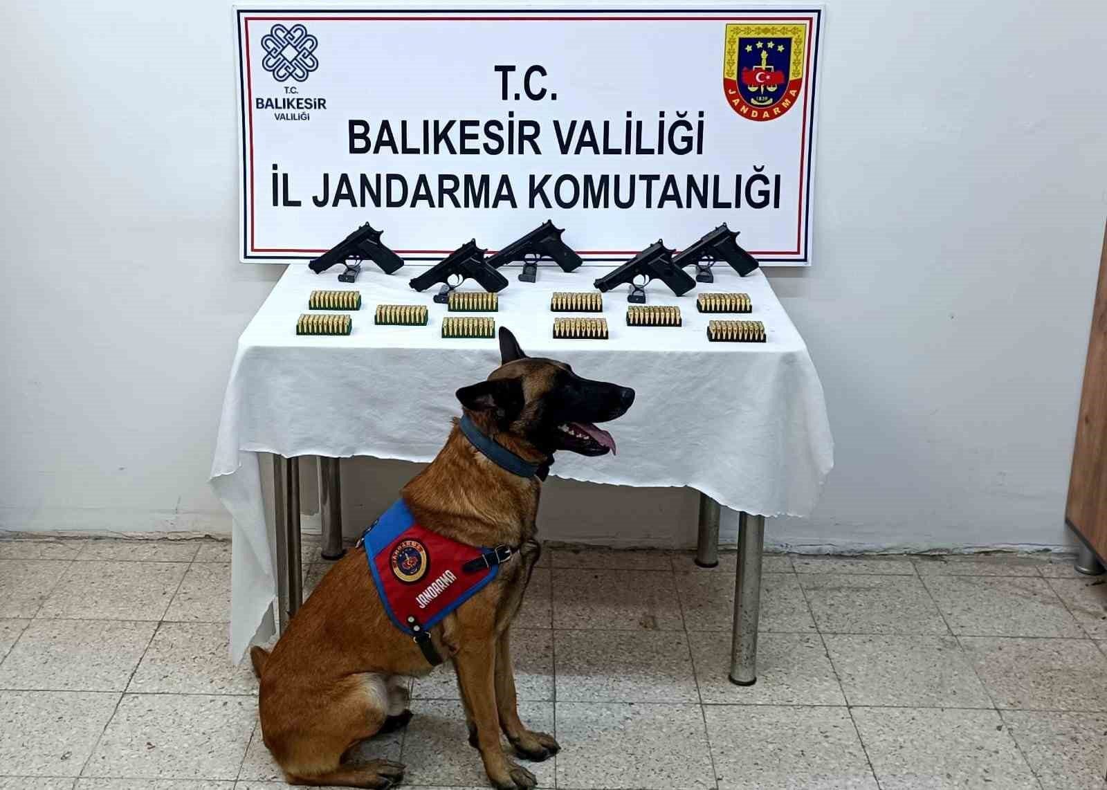 Bomba köpeği ’Vaha’ kaçak silahları buldu