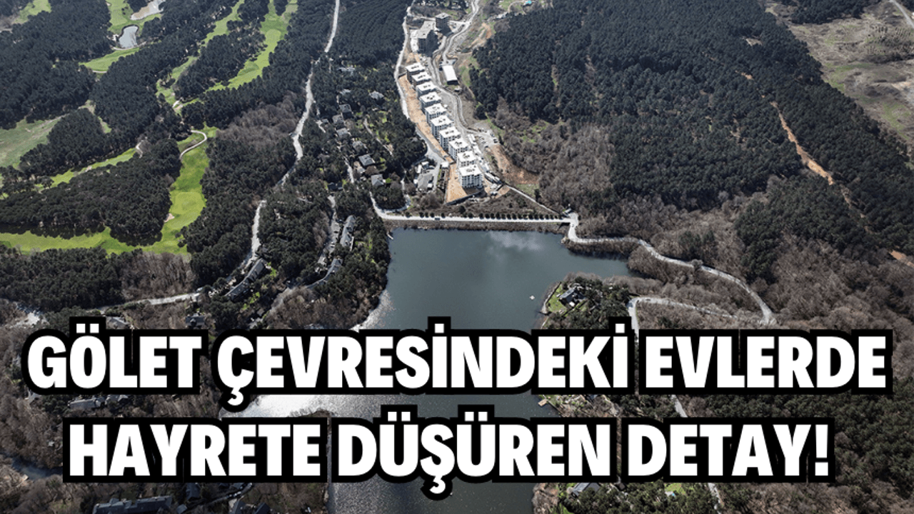 Gölet çevresindeki evlerde hayrete düşüren detay!