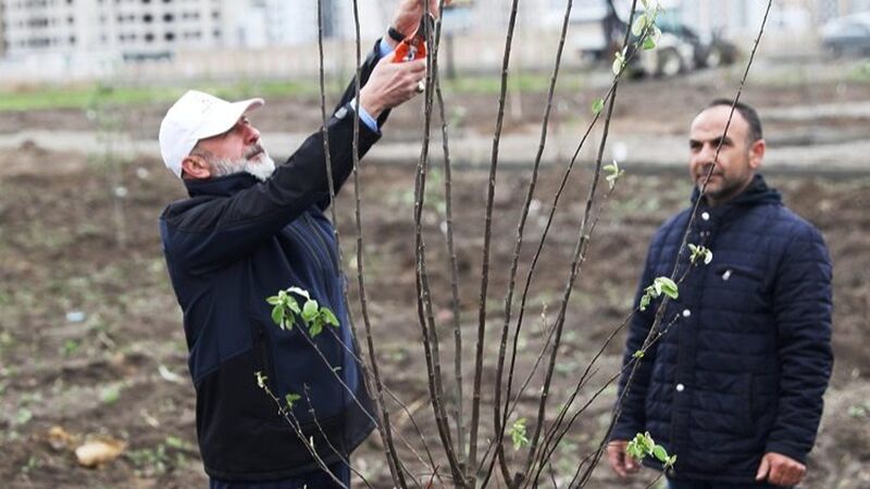 Kayseri Kocasinan’dan meyve bahçeli park projesi