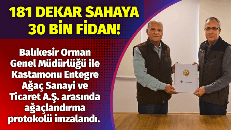 181 DEKAR SAHAYA 30 BİN FİDAN!