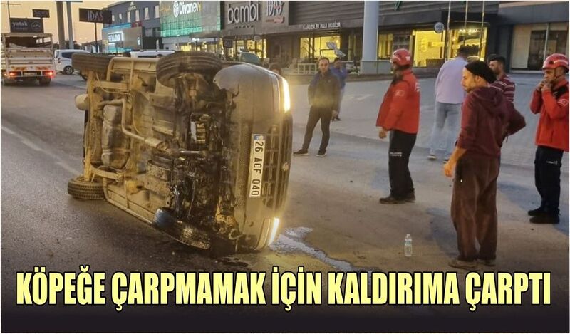 KÖPEĞE ÇARPMAMAK İÇİN KALDIRIMA ÇARPTI