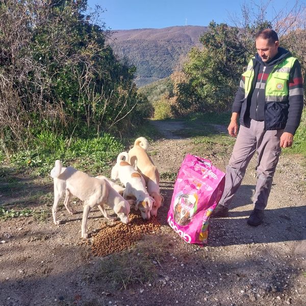 Erdek Belediyesi, soğuk hava