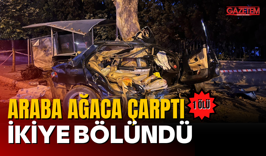 ARABA AĞACA ÇARPTI İKİYE BÖLÜNDÜ SÜRÜCÜ HAYATINI KAYBETTİ