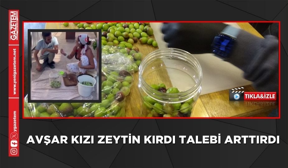 AVŞAR KIZI ZEYTİN KIRDI TALEBİ ARTTIRDI