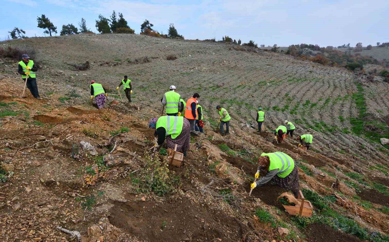 Balıkesir’de orman köylüsü bildiği işle kalkındırılıyor