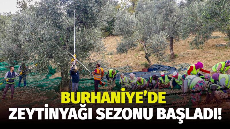 Nefaset ve kalitesi ile körfezde zeytinyağı alanında en çok tercih