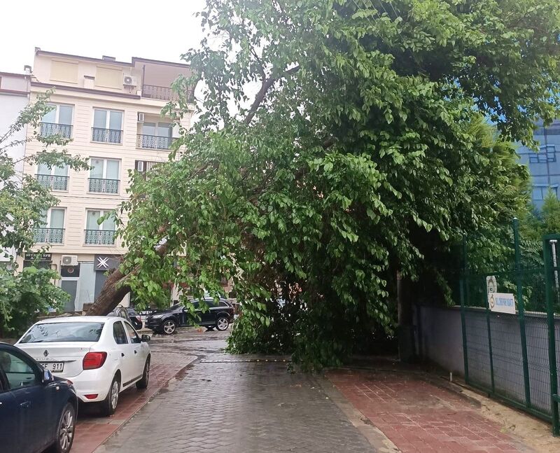 Denizli’ye kuvvetli rüzgar ve fırtına uyarısı