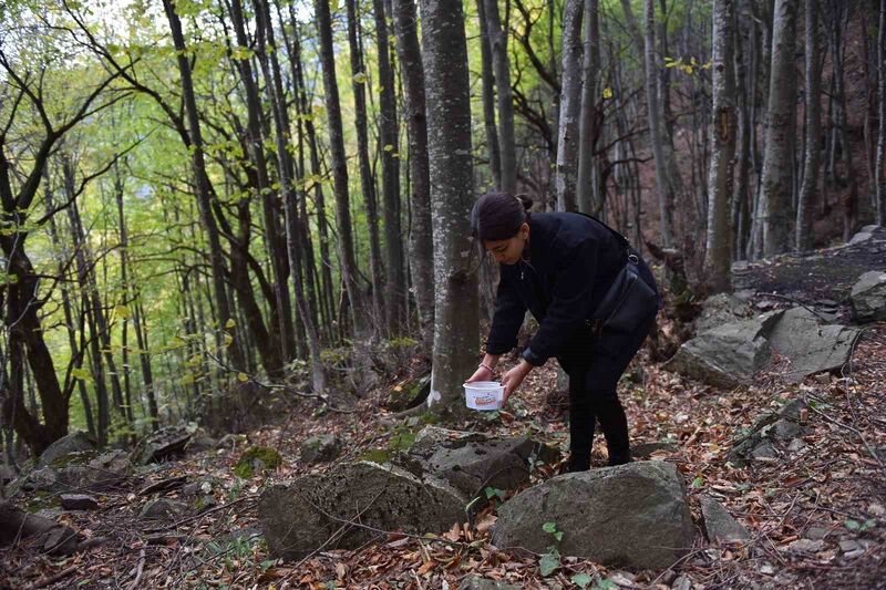 Gençler doğa için yürüdü