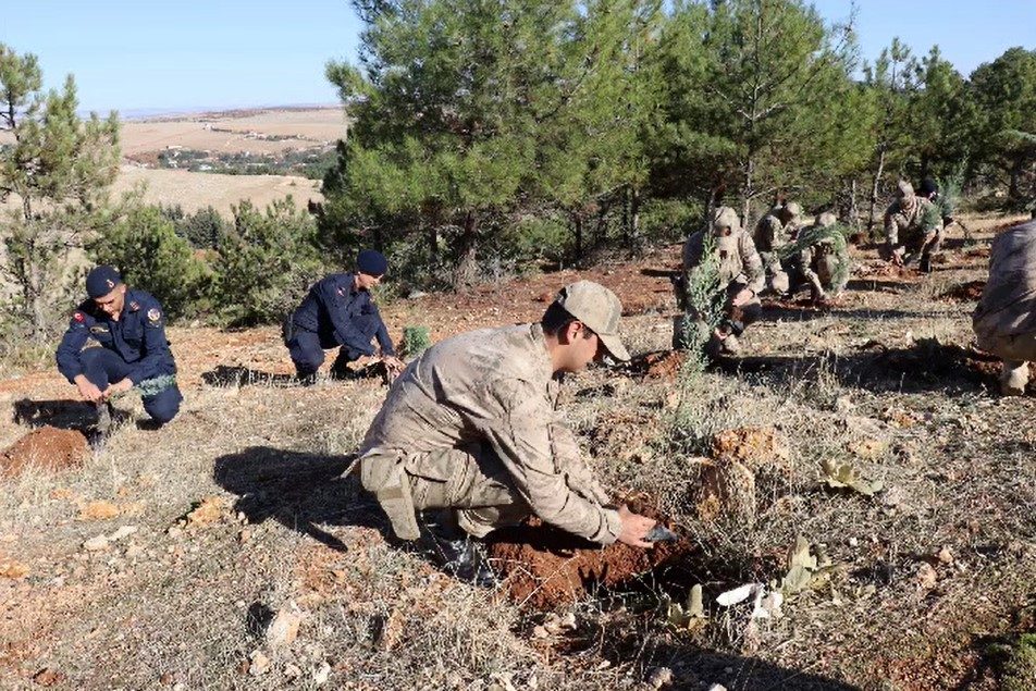 Jandarma 100. yıla özel 100 fidan dikti