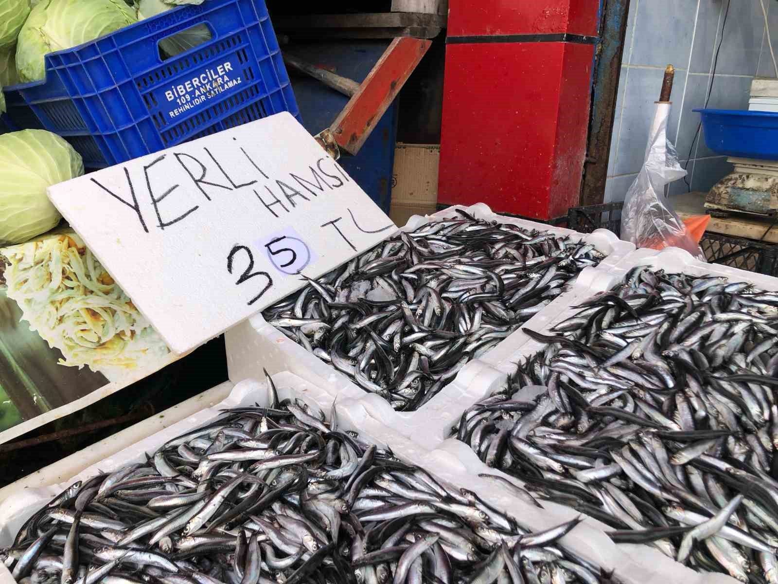 Karadeniz’de hamsi bolluğu sürüyor