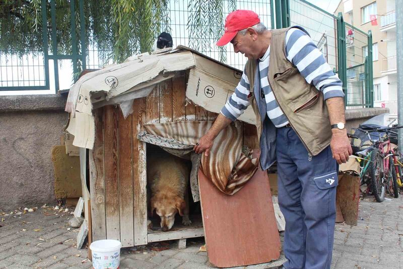 (ÖZEL) 22 senedir beslediği kedilerin ve köpeği ’Tombik’in mamasını eksik etmiyor