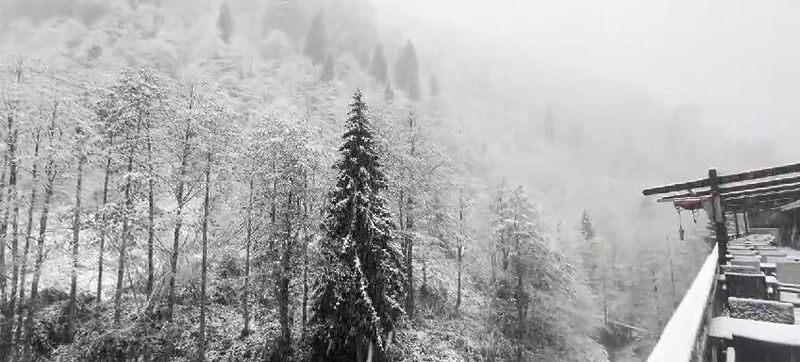 Rize’nin yüksek kesimlerine kar yağdı