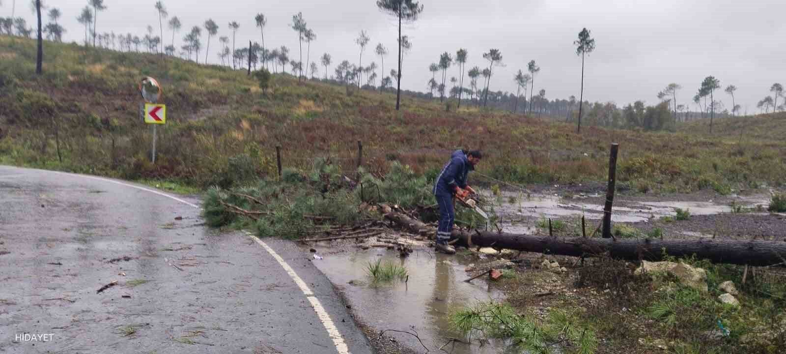 Şile’ye 94 personel, 38 araçla müdahale edildi