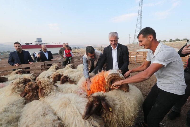 Tahmazoğlu “Hayvancılığa desteğimiz sürecek”