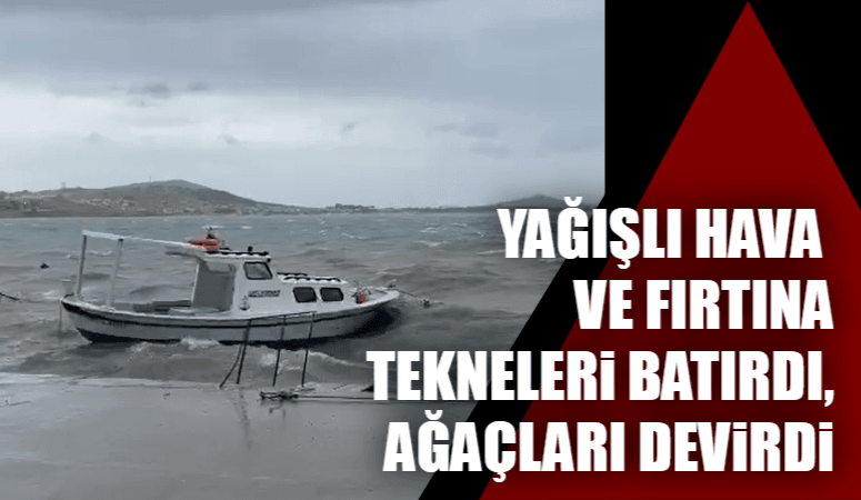 YAĞIŞLI HAVA VE FIRTINA TEKNELERİ BATIRDI, AĞAÇLARI DEVİRDİ  