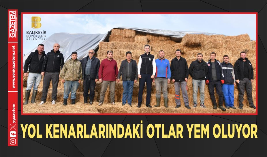 YOL KENARLARINDAKİ OTLAR YEM OLUYOR!