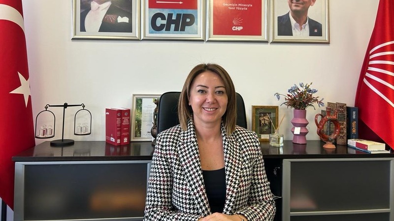 CHP Genel Başkan Yardımcısı