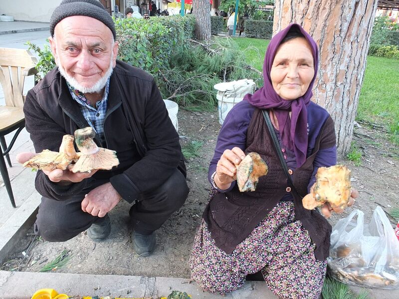 YAĞIŞLAR BAŞLAYINCA MANTAR ARTTI