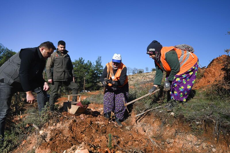 BALIKESİR’DE 100 DEKARLIK ALAN AĞAÇLANDIRILDI