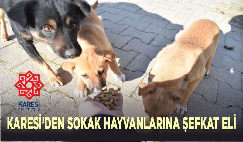 Karesi Belediyesi soğuk kış