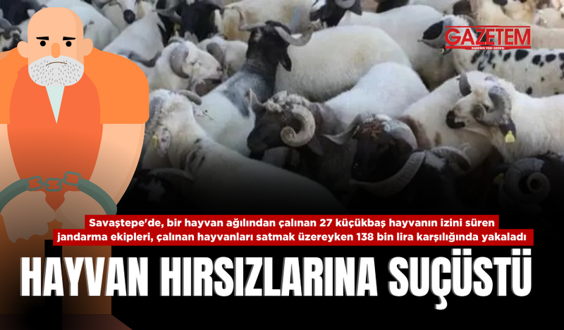 HAYVAN HIRSIZLARINA SUÇÜSTÜ  