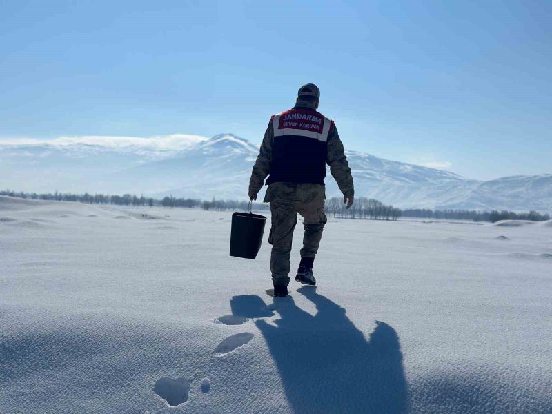 Bitlis İl Jandarma Komutanlığı