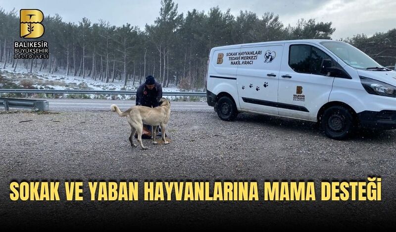 SOKAK VE YABAN HAYVANLARINA MAMA DESTEĞİ