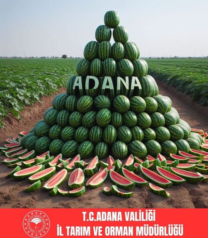 ADANA, 2023 YILINDA 