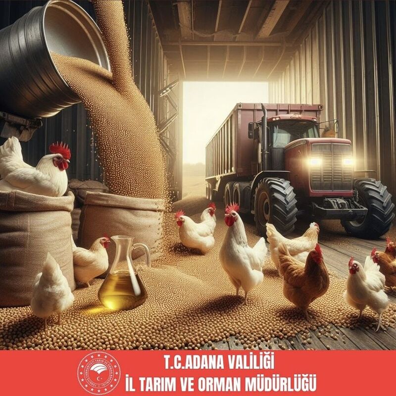 Adana soya üretiminde Türkiye birincisi oldu