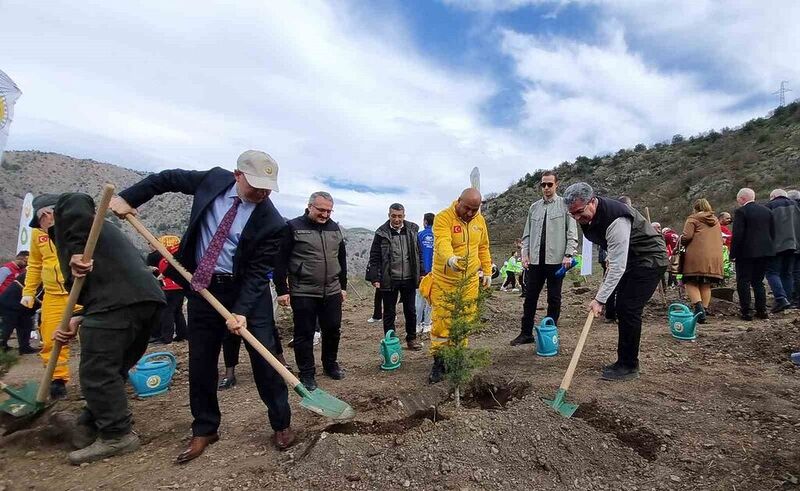 Amasya Orman Bölge Müdürü Özer: “Türkiye en çok ağaçlandırmada Avrupa’da 1. sırada”