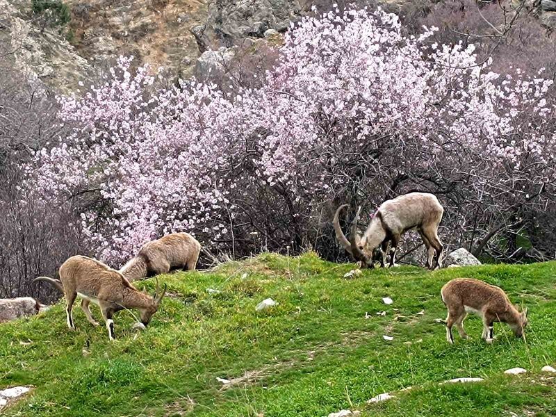 Aynı il iki farklı mevsim