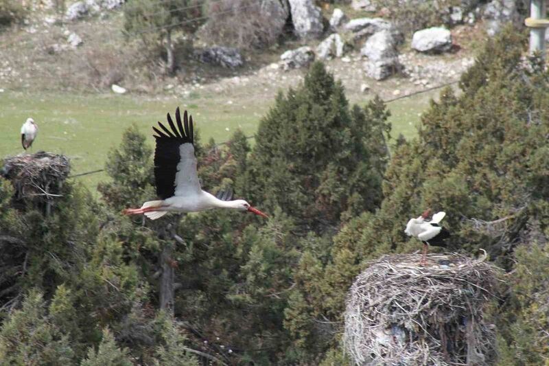 KONYA’NIN BEYŞEHİR İLÇESİNDE İLKBAHAR