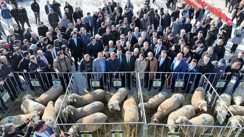 Bakan Yumaklı: “Balıkesir’in potansiyeli, bizim bu zamana kadar tahayyül ettiklerimizin daha ötesinde”