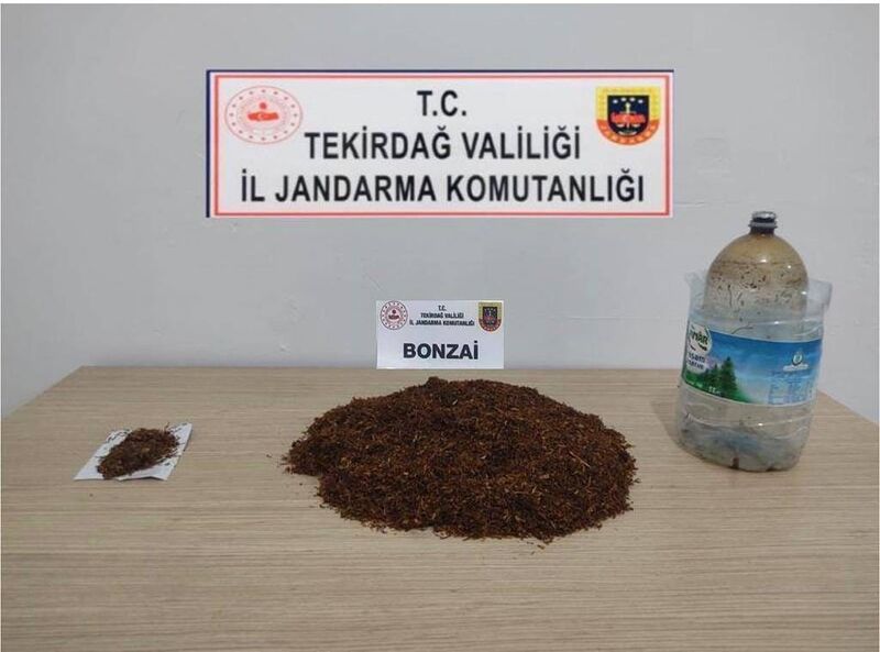 Bonzai, esrar ve tabancalar ele geçirildi