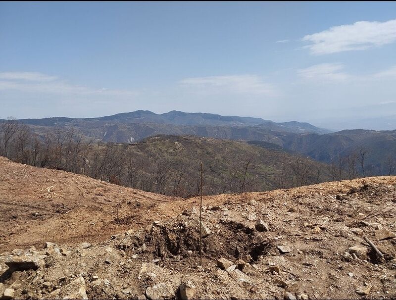 AYDIN (İHA) - BOŞ,