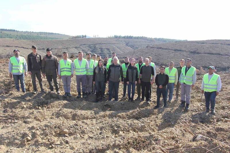 Büyük yangının simsiyah izleri silindi, 8 ayda 1 milyon 651 bin fidan dikildi