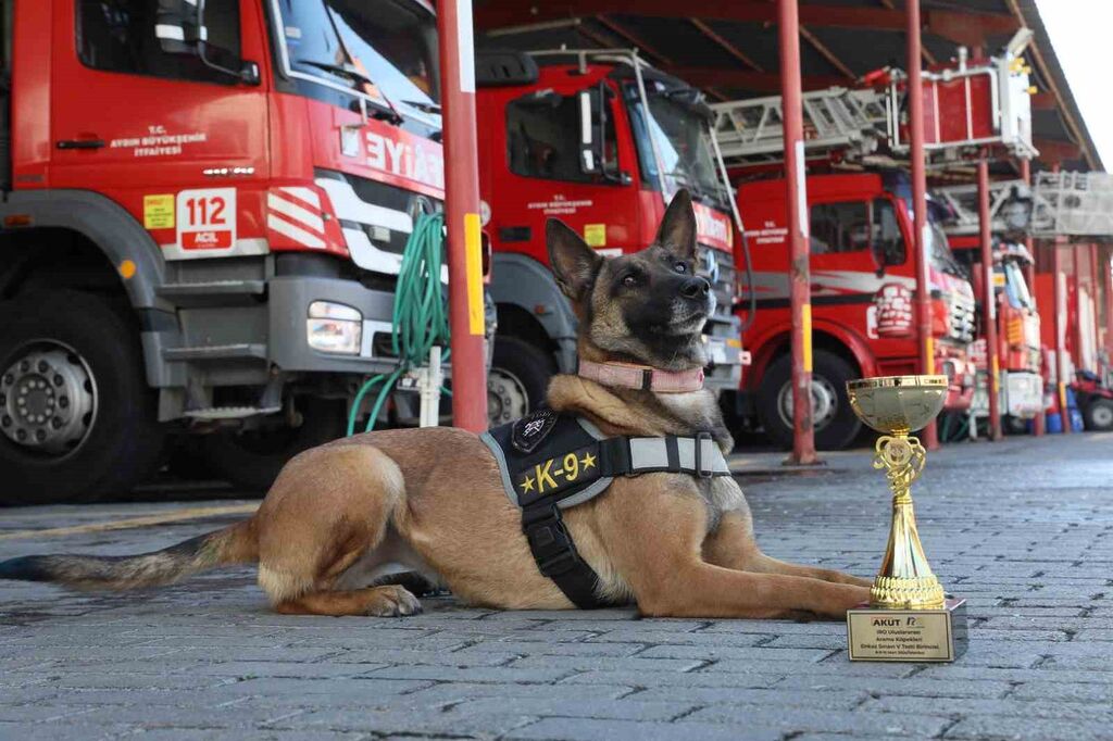Büyükşehir’in arama kurtarma köpeği ödül aldı